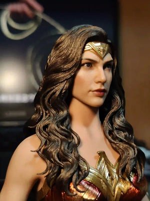 New Spot Hottoys Ht "Warner 100" Wonder Woman Mms698 Hair Transplant Limited 1:6 Ratio