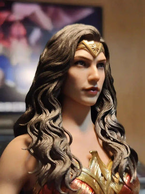 New Spot Hottoys Ht "Warner 100" Wonder Woman Mms698 Hair Transplant Limited 1:6 Ratio