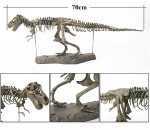 70cm DIY Dinosaur Skeleton Toys Ornament Simulation T-Rex Model Jurassic Assembled Skeleton Park Fossilized Tyrannosaurus Dragon