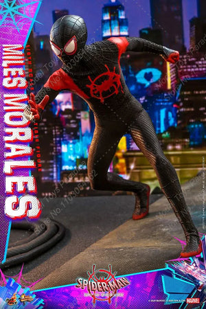 HT HotToys MMS567 1/6 Man Soldier Miles Morales Marvel Super Hero Spider-Man Full Set 12inch Action Figure Collectible Toys Gift