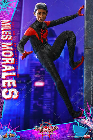 HT HotToys MMS567 1/6 Man Soldier Miles Morales Marvel Super Hero Spider-Man Full Set 12inch Action Figure Collectible Toys Gift