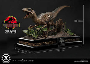 Prime 1 Studio P1S Jurassic Velociraptor LMCJP-04  1/6 Dinosaur Statue Collection